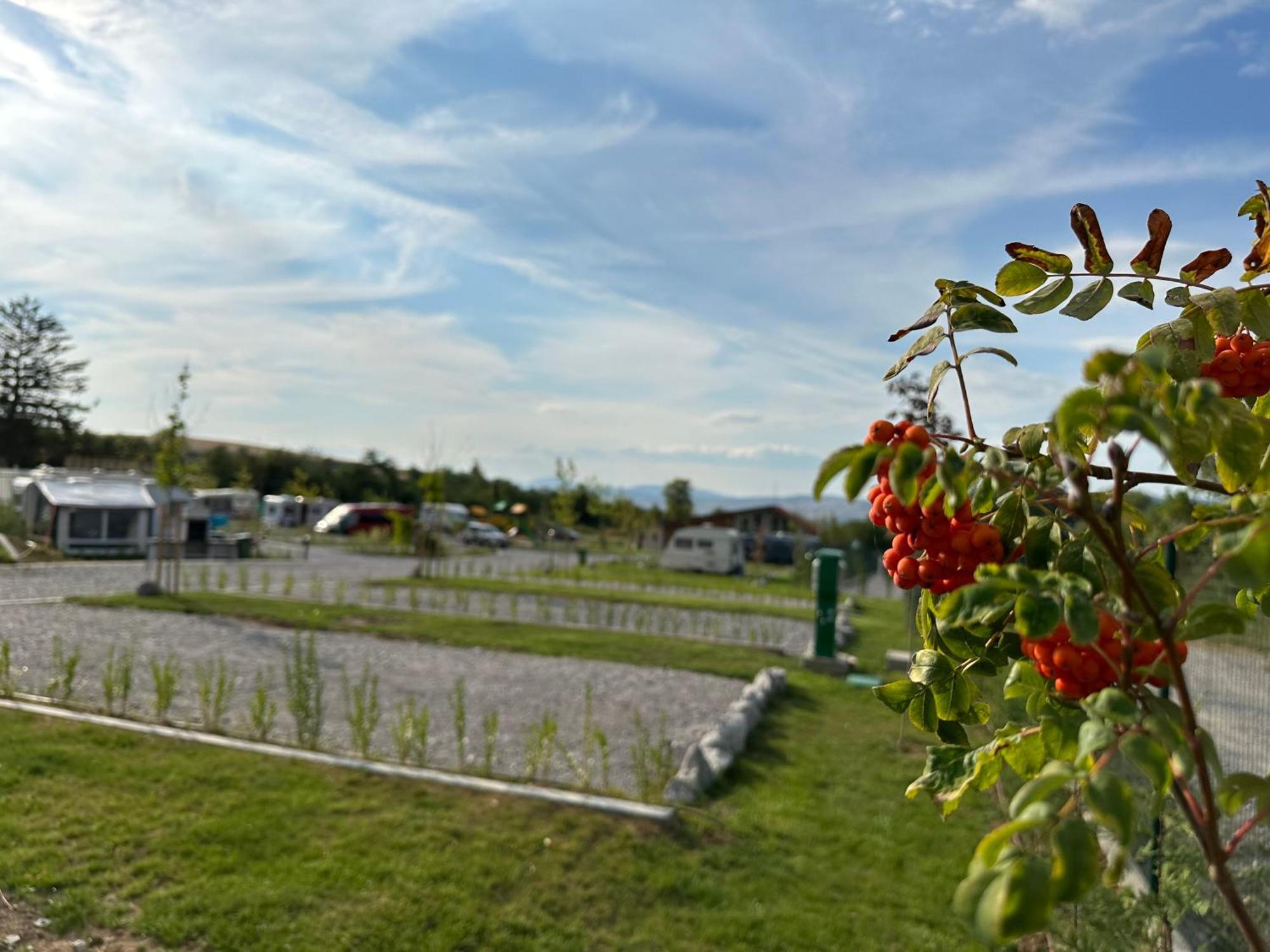 7 Lakes Camping Sapareva Banya Eksteriør billede